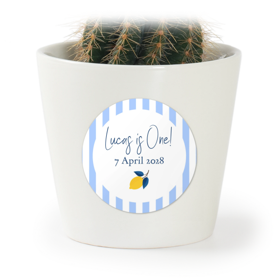 Lemon Stripes Party