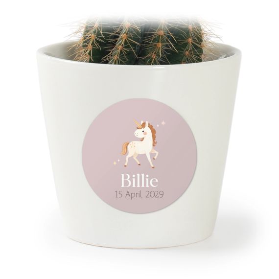Plant Pot with Sticker - Set of 12 Plant Pot with Sticker - Set of 12