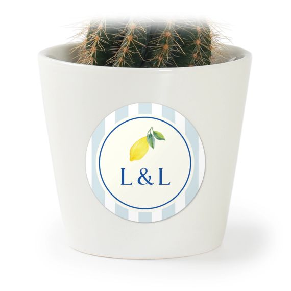 Plant Pot with Sticker - Set of 12
