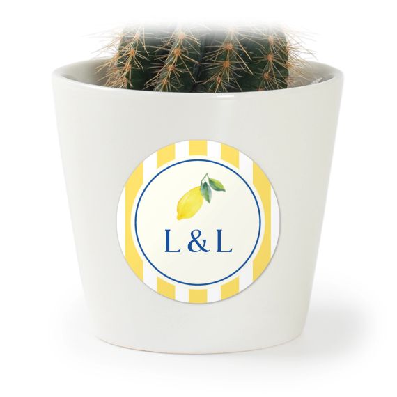 Dolce Vita Lemon Stripes Dolce Vita Lemon Stripes