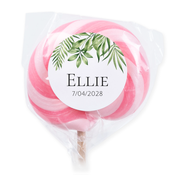 Lollipops Pink - set of 6 Lollipops Pink - set of 6