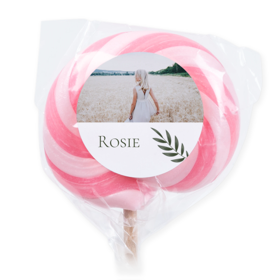 Sucettes roses (lot de 6) Sucettes roses (lot de 6)