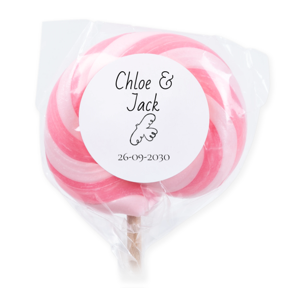 Sucettes roses (lot de 6) Sucettes roses (lot de 6)