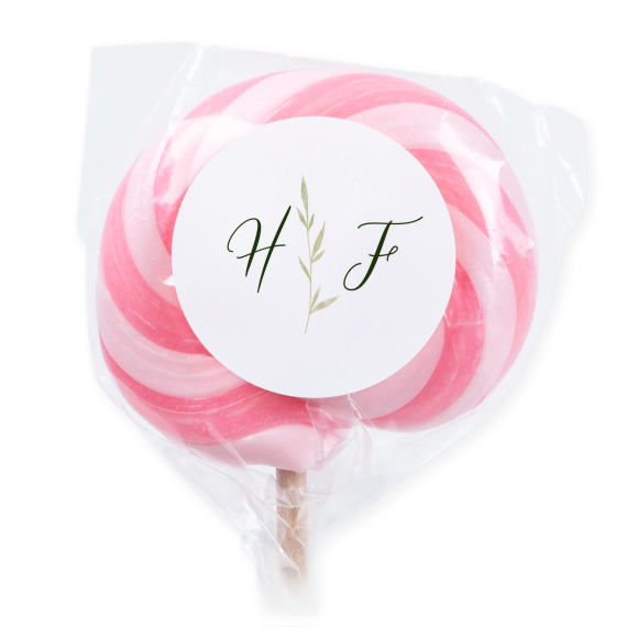 Sucettes roses (lot de 6) Sucettes roses (lot de 6)