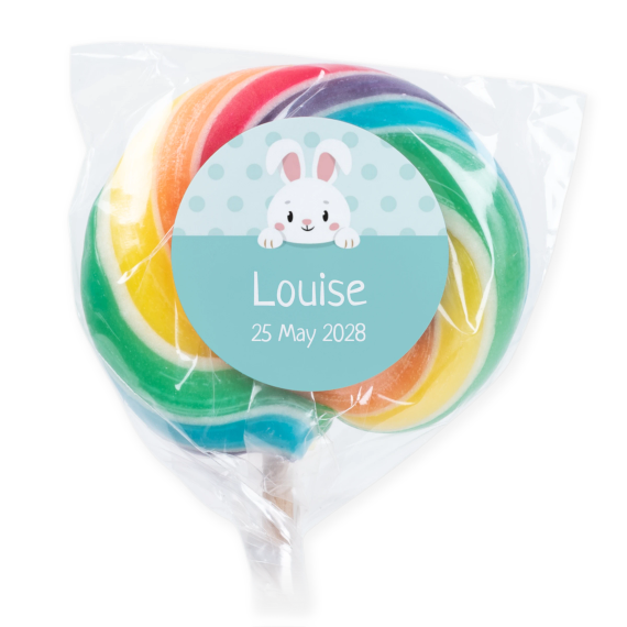 Sucettes multicolores (lot de 6) Sucettes multicolores (lot de 6)