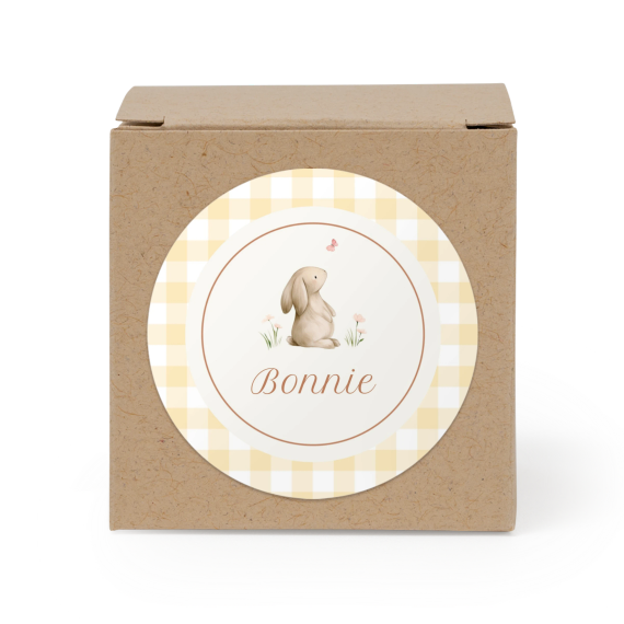 Cute Bunny Vichy Cute Bunny Vichy