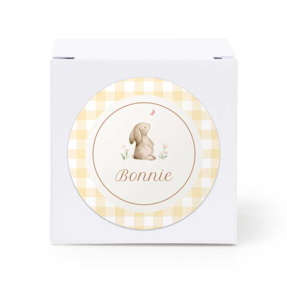 Cute Bunny Vichy
