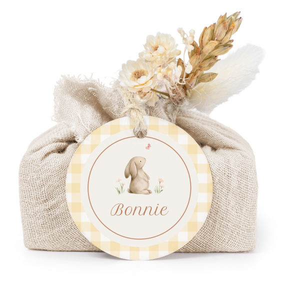 Cute Bunny Vichy