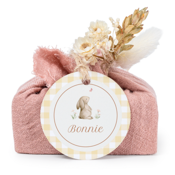 Cute Bunny Vichy Cute Bunny Vichy