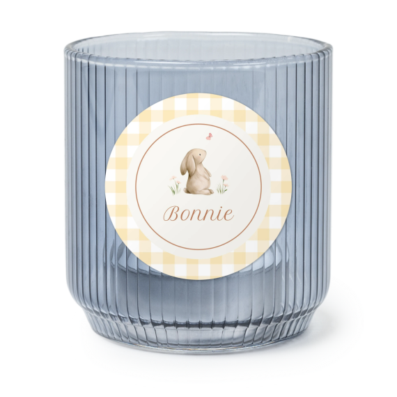 Cute Bunny Vichy Cute Bunny Vichy