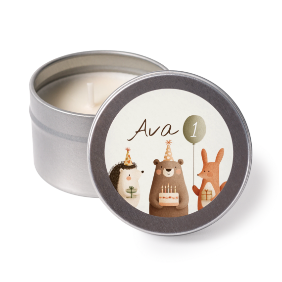 Forest Animals Party Forest Animals Party