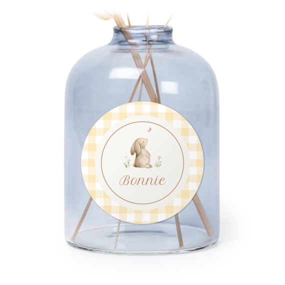 Cute Bunny Vichy Cute Bunny Vichy