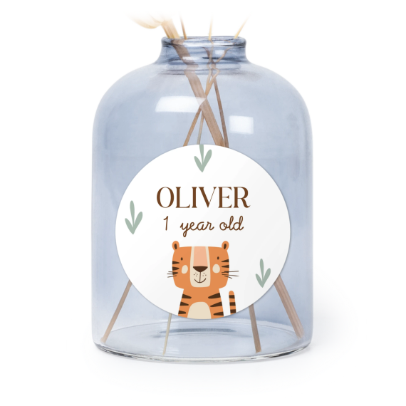 Scandi Safari Animals Scandi Safari Animals