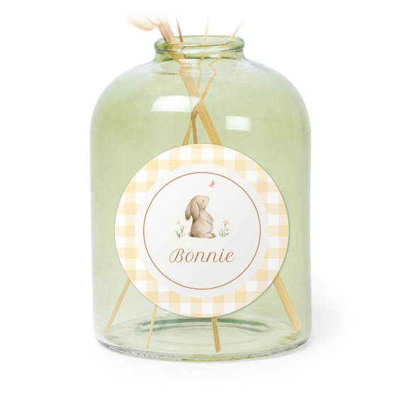 Cute Bunny Vichy Cute Bunny Vichy
