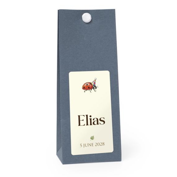 Illustration Ladybug Illustration Ladybug
