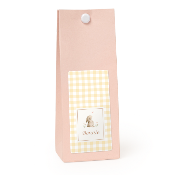 Cute Bunny Vichy Cute Bunny Vichy