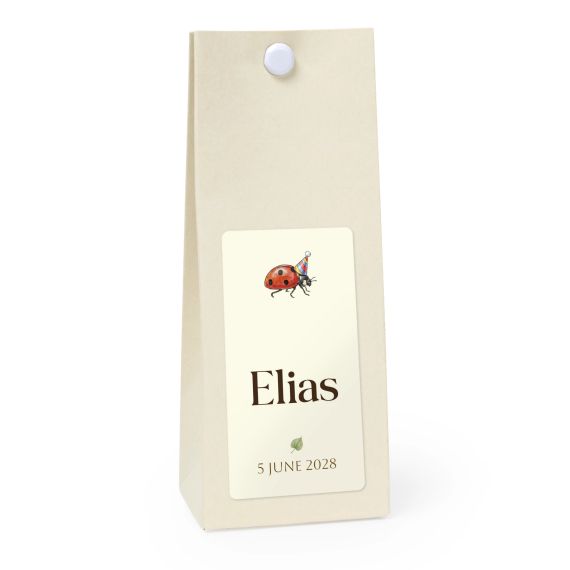 Illustration Ladybug