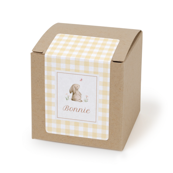 Cute Bunny Vichy Cute Bunny Vichy