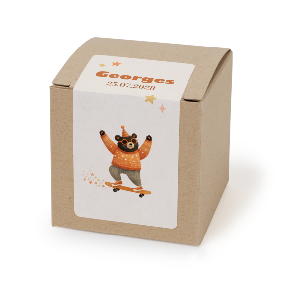 Retro Skater Bear - Text Only Retro Skater Bear - Text Only