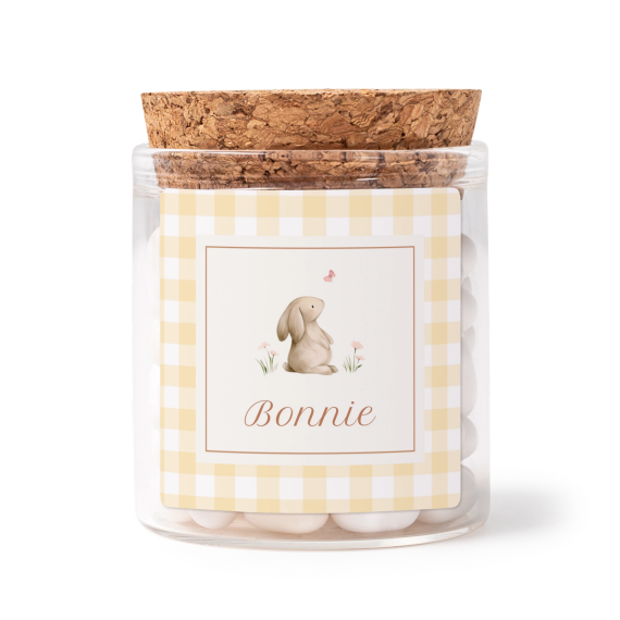 Cute Bunny Vichy Cute Bunny Vichy