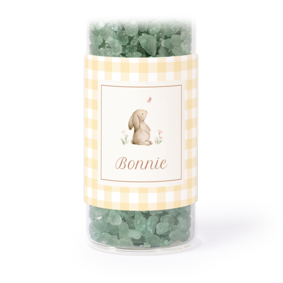 Cute Bunny Vichy Cute Bunny Vichy