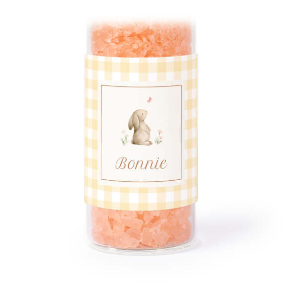 Cute Bunny Vichy Cute Bunny Vichy