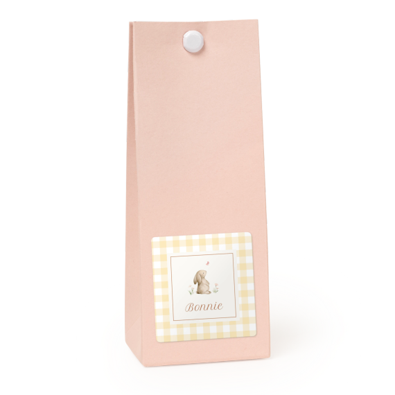 Cute Bunny Vichy Cute Bunny Vichy