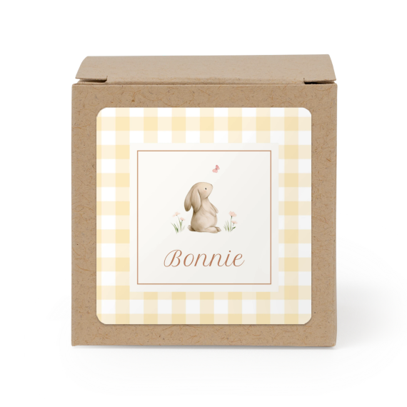 Cute Bunny Vichy Cute Bunny Vichy