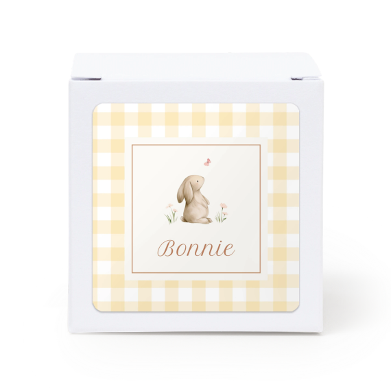 Cute Bunny Vichy Cute Bunny Vichy