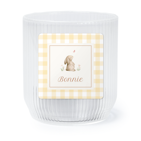 Cute Bunny Vichy