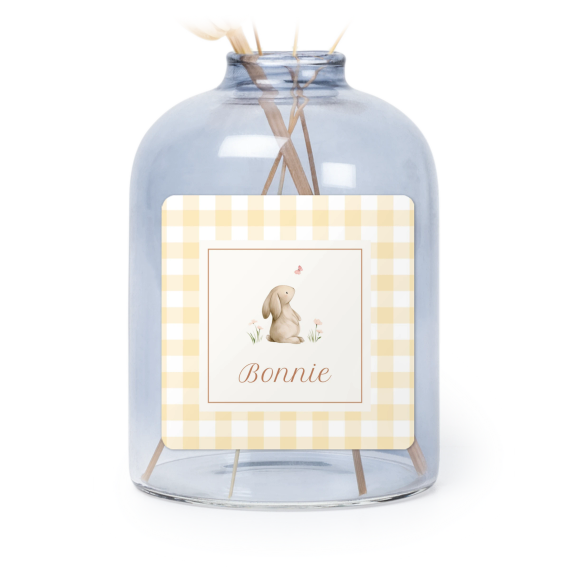 Cute Bunny Vichy Cute Bunny Vichy