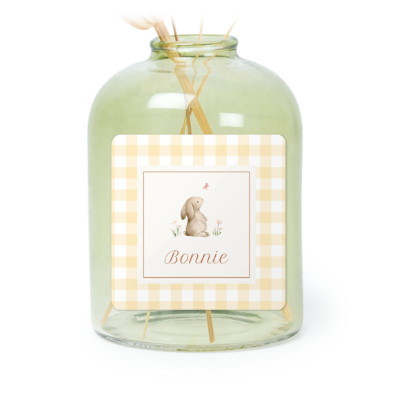 Cute Bunny Vichy Cute Bunny Vichy