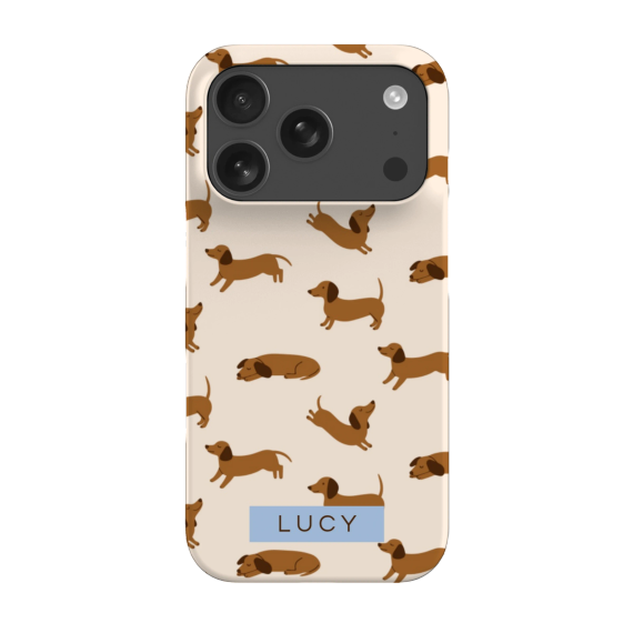 iPhone Case 18 Pro iPhone Case 18 Pro