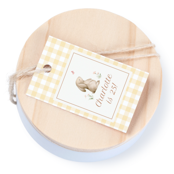 Cute Bunny Vichy Cute Bunny Vichy