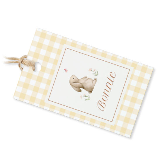 Cute Bunny Vichy Cute Bunny Vichy