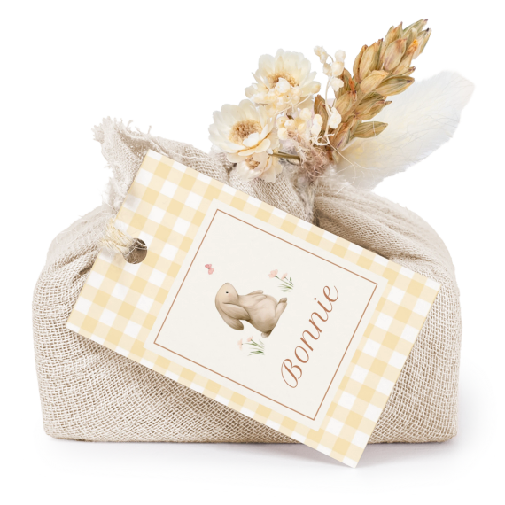 Cute Bunny Vichy Cute Bunny Vichy