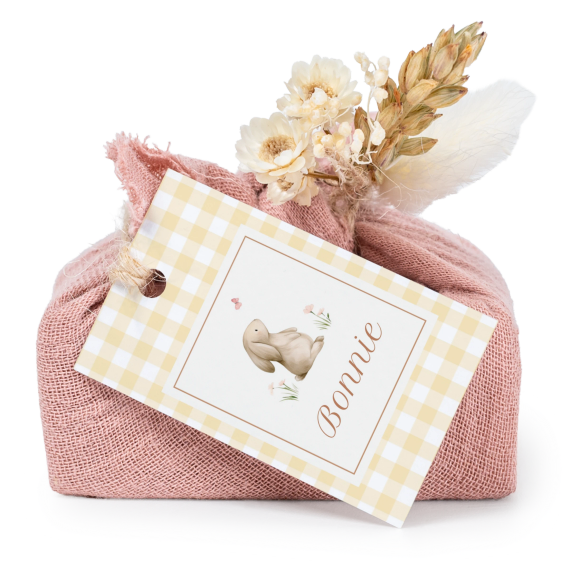 Cute Bunny Vichy Cute Bunny Vichy