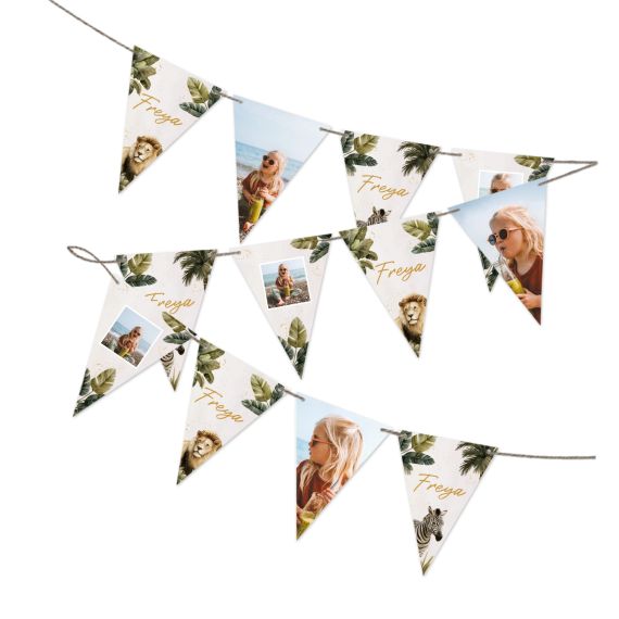 Guirlande de fanions (16 drapeaux) Guirlande de fanions (16 drapeaux)
