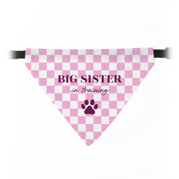 Paw Checkers - text only