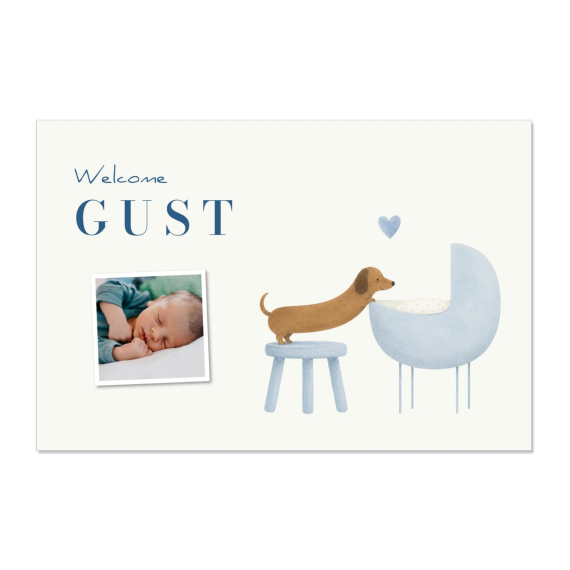 Watercolor Puppy Cradle Watercolor Puppy Cradle