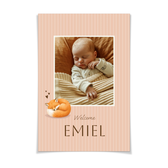 Cute Fox Stripes Cute Fox Stripes