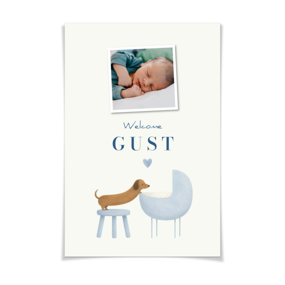 Watercolor Puppy Cradle Watercolor Puppy Cradle
