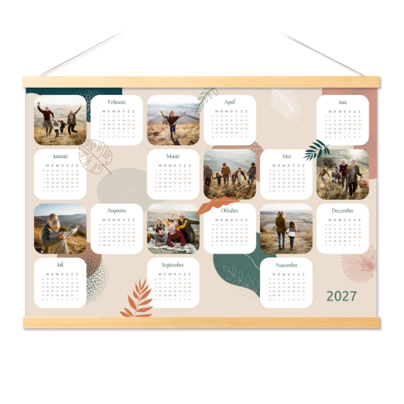 Terracotta Plants Terracotta Plants
